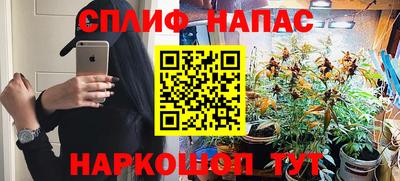 эйфоретик Новокубанск