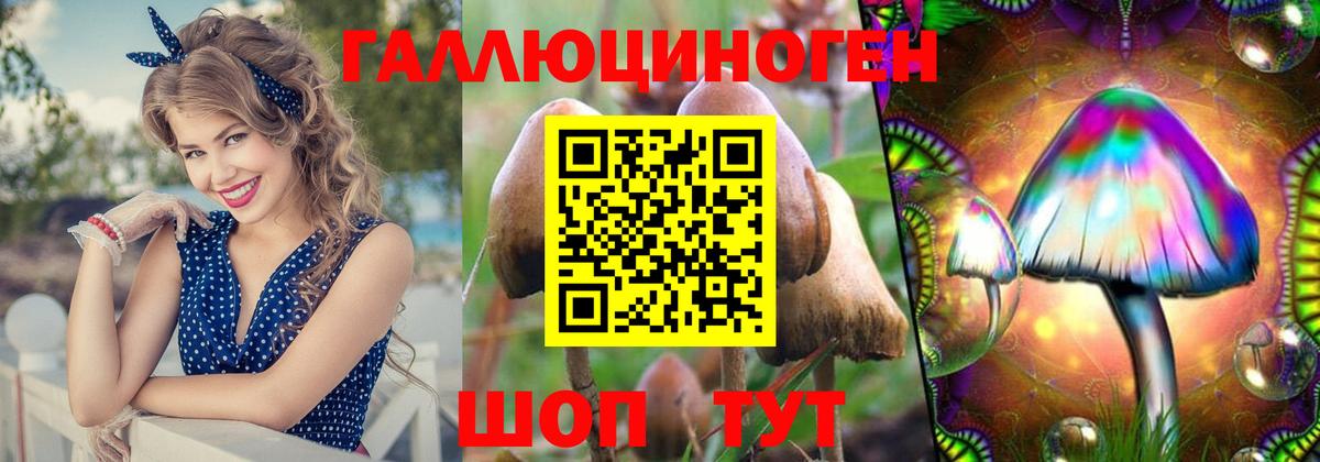 Заринск  Псилоцибиновые грибы Magic Shrooms  Вход с VPN 